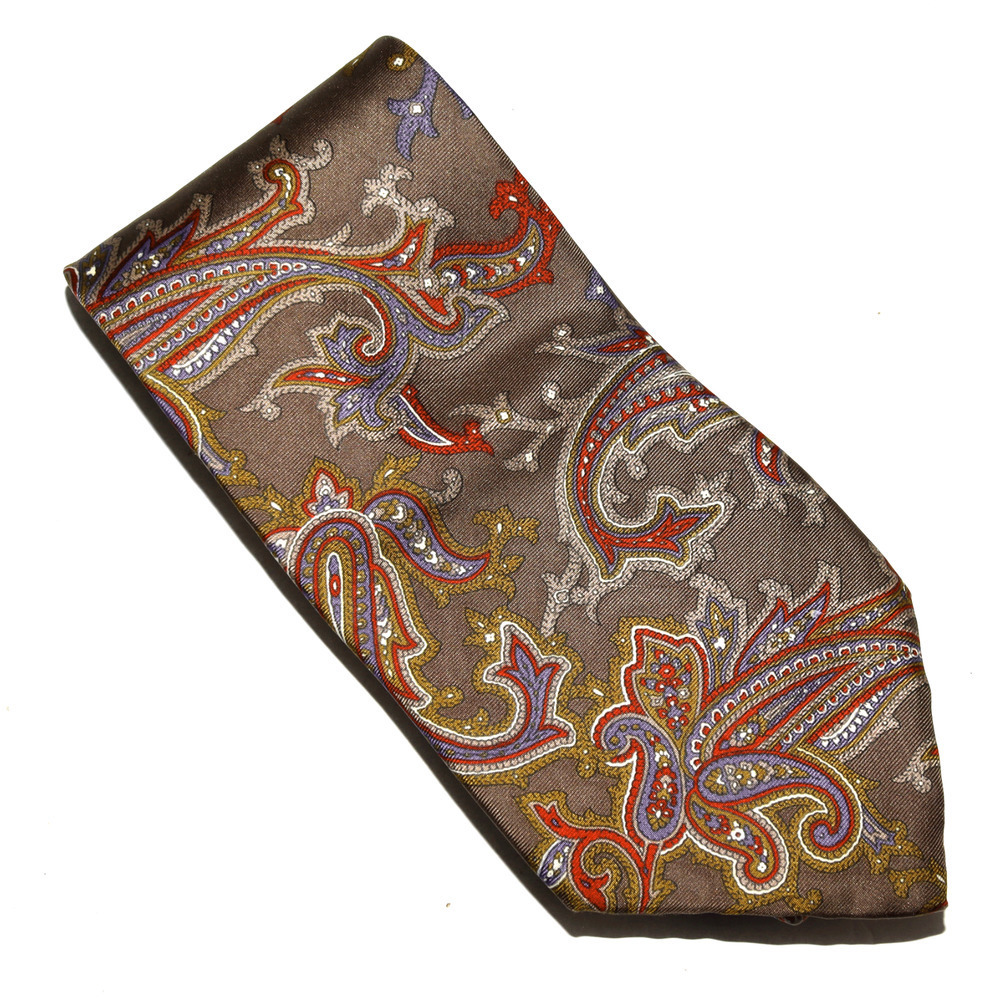 Surrey Men's Paisley Print Tie Italian 100% Silk Neck Tie